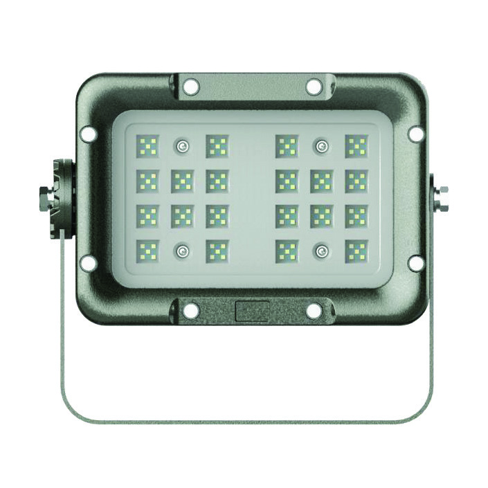 Explosion Proof Flood Light LL-EXFL-L