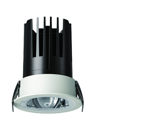 Recessed Spotlight Adjustable
