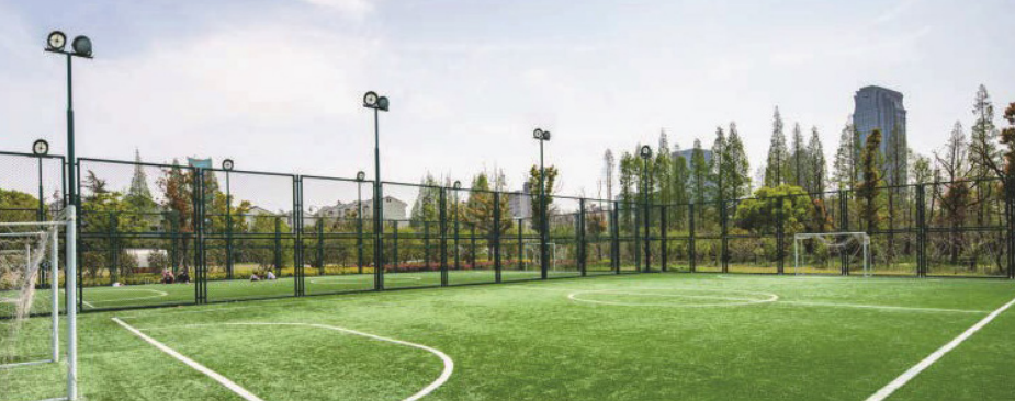 Stadium Titan Sports Lighting image 5